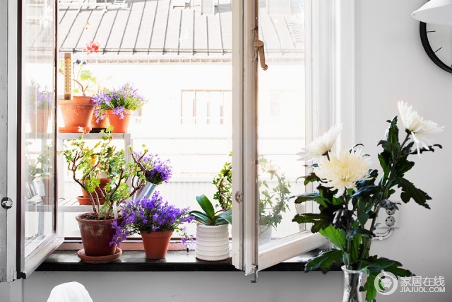44平北欧单身公寓 阳光满满且花儿朵朵