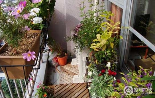 阳台变身小花园